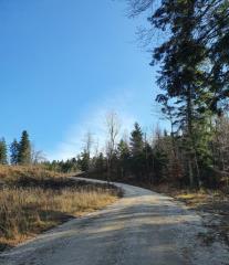 Gozdne ceste OE Postojna (1)